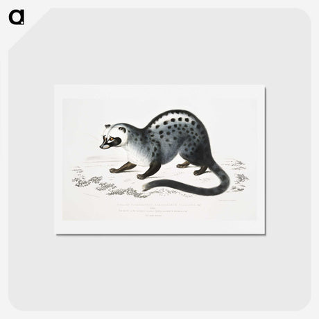 1-44_Indian-Zoology_hagaki