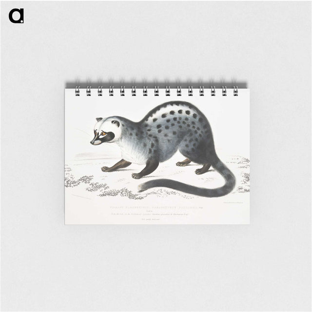 1-44_Indian-Zoology_memo