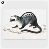 1-44_Indian-Zoology_picture-crop