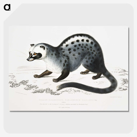 1-44_Indian-Zoology_picture-crop