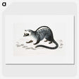 1-44_Indian-Zoology_picture