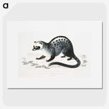 1-44_Indian-Zoology_picture