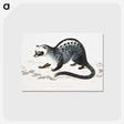 1-44_Indian-Zoology_postcard