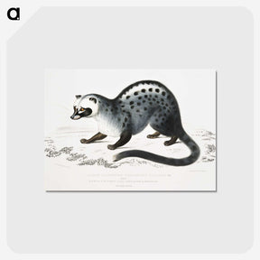 1-44_Indian-Zoology_postcard