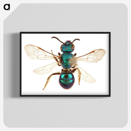 1-44_Insects-Unlocked-Project_blk-crop