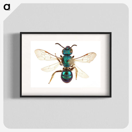 1-44_Insects-Unlocked-Project_blk