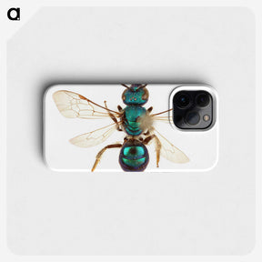 1-44_Insects-Unlocked-Project_phone