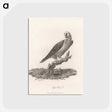 1-44_James-Heath_postcard