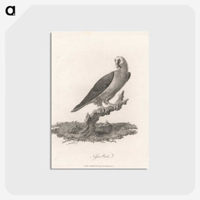 1-44_James-Heath_postcard