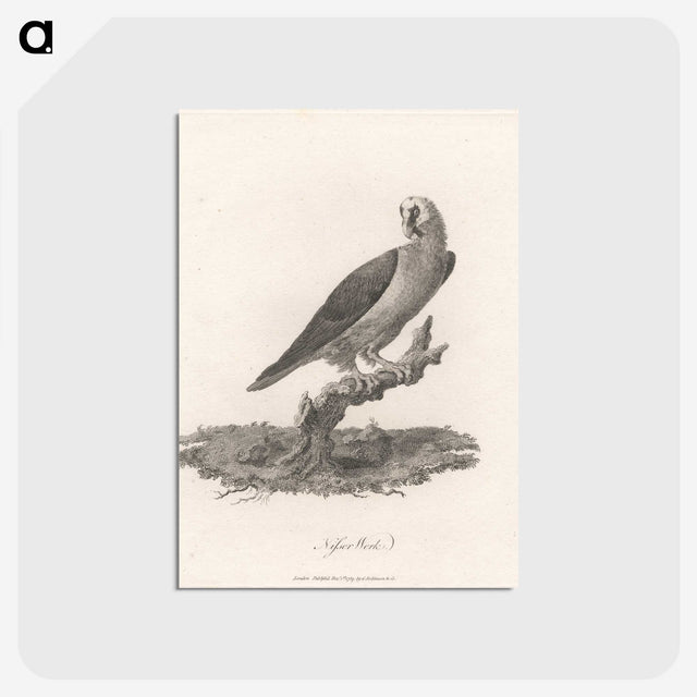 1-44_James-Heath_postcard