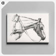 アートパネル-Head of a horse - ジャン ベルナール Canvas.