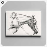 アートパネル-Head of a horse - ジャン ベルナール Canvas.
