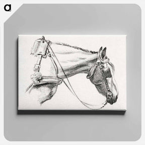 アートパネル-Head of a horse - ジャン ベルナール Canvas.