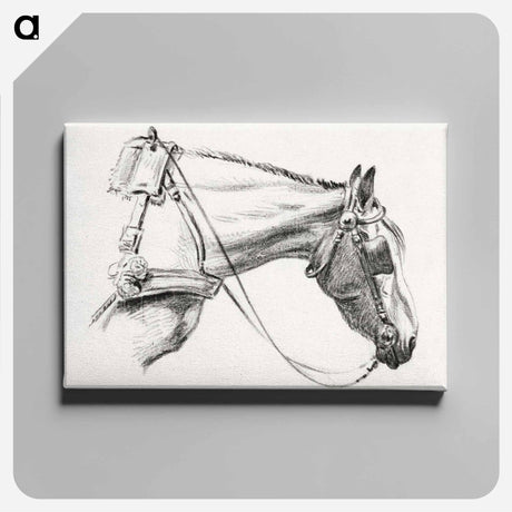 アートパネル-Head of a horse - ジャン ベルナール Canvas.