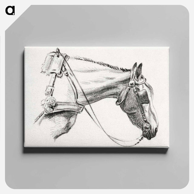 アートパネル-Head of a horse - ジャン ベルナール Canvas.