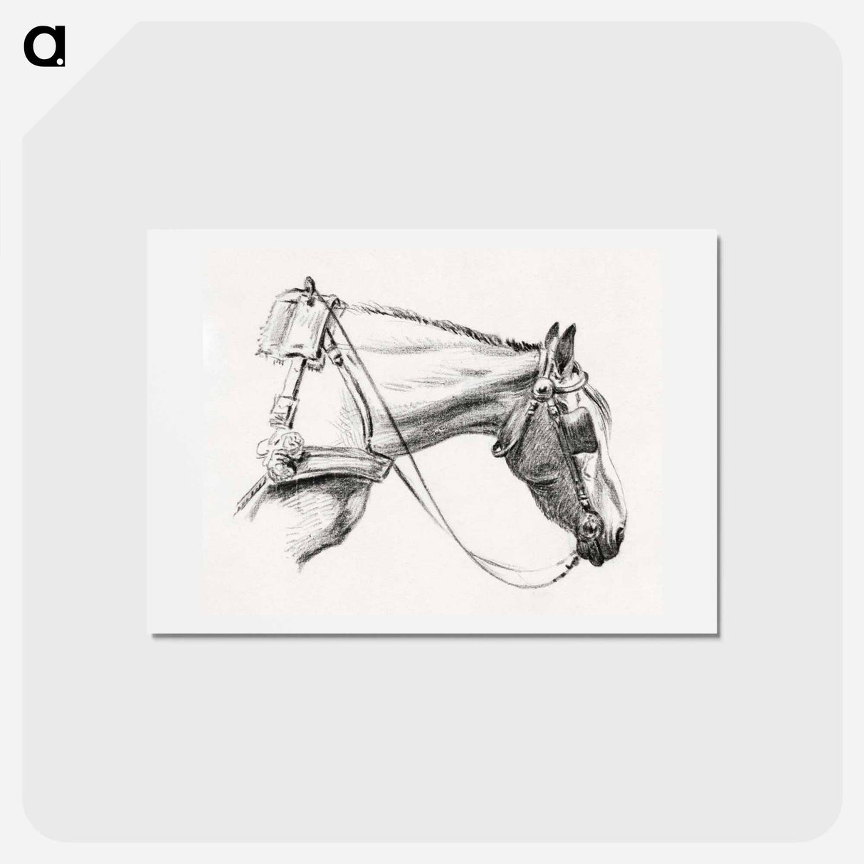 アートポストカード-Head of a horse - ジャン ベルナール Postcard.