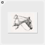 アートポストカード-Head of a horse - ジャン ベルナール Postcard.
