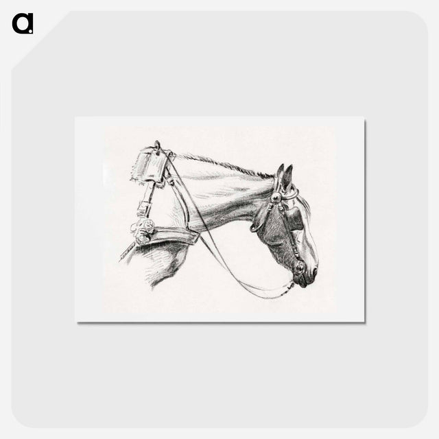 アートポストカード-Head of a horse - ジャン ベルナール Postcard.