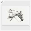 1-44_Jean-Bernard_picture