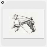1-44_Jean-Bernard_picture