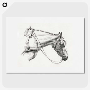 1-44_Jean-Bernard_picture