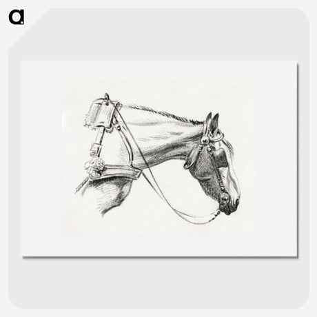1-44_Jean-Bernard_picture