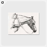 アートポストカード-Head of a horse - ジャン ベルナール Postcard.