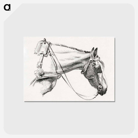 アートポストカード-Head of a horse - ジャン ベルナール Postcard.