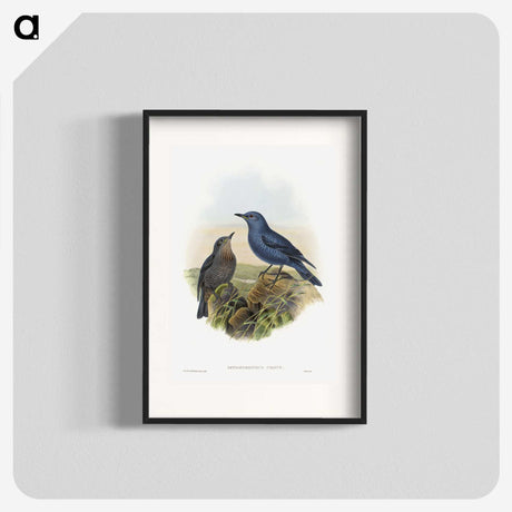 1-44_John-Gould_blk