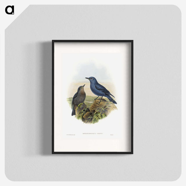 1-44_John-Gould_blk