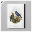 1-44_John-Gould_canvas