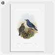 1-44_John-Gould_picture