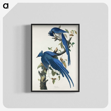 1-44_John-James-Audubon_blk-crop