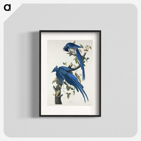 1-44_John-James-Audubon_blk