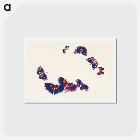 アートポストカード-Vintage butterfly - 神坂 雪佳 Postcard.