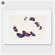 1-44_Kamisaka-Sekka_picture