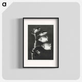Vaccinium Corymbosum (Blueberry) - Karl Blossfeldt Poster.