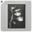 1-44_Karl-Blossfeldt_canvas