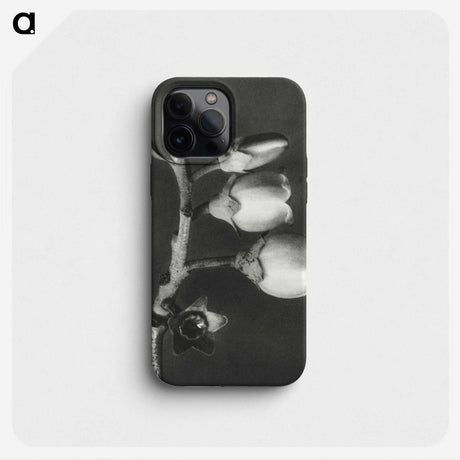 1-44_Karl-Blossfeldt_phone