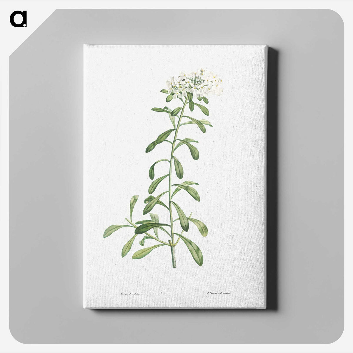 1-44_La-Botanique_canvas