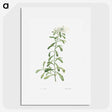 1-44_La-Botanique_picture