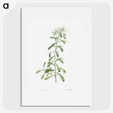 1-44_La-Botanique_picture