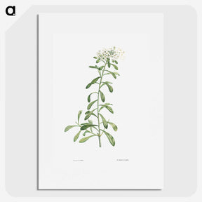 1-44_La-Botanique_picture