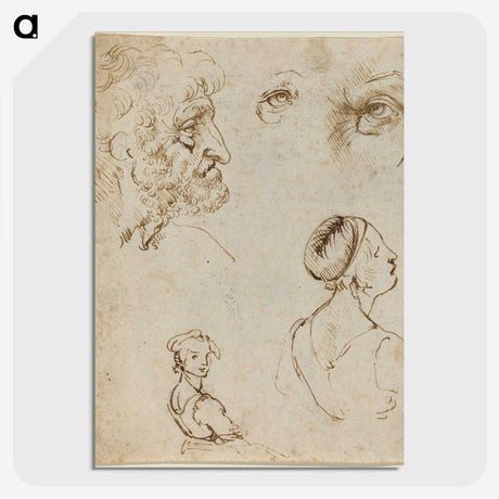 1-44_Leonardo-Da-Vinci_picture-crop