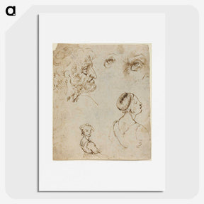 1-44_Leonardo-Da-Vinci_picture