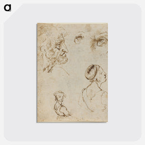 アートポストカード-Leonardo da Vinci's Sheet of Studies - レオナルド ダ ヴィンチ Postcard.