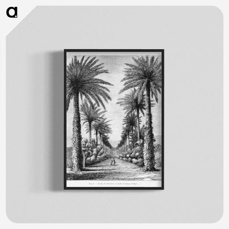 1-44_Les-Palmiers-Histoire-Iconographique_blk-crop