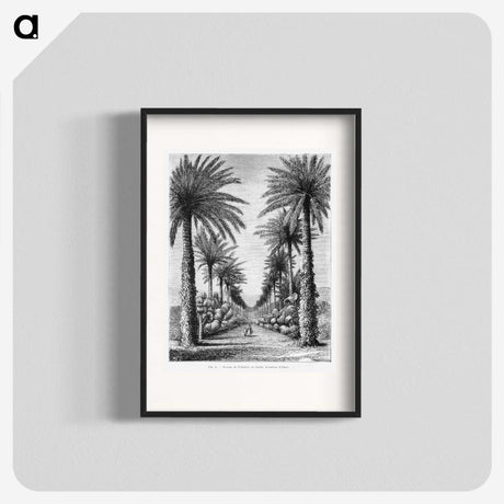 1-44_Les-Palmiers-Histoire-Iconographique_blk