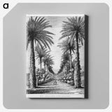 1-44_Les-Palmiers-Histoire-Iconographique_canvas