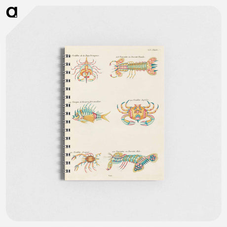 アートメモ帳-Moluccan Crustaceans
 - ルイ ルナール Memo.